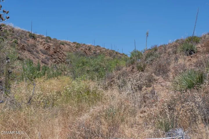 Big Springs Road, 22 Acres