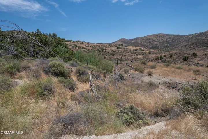 Big Springs Road, 22 Acres