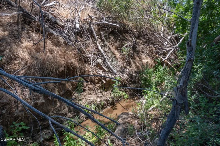 Big Springs Road, 22 Acres
