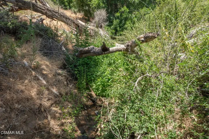 Big Springs Road, 22 Acres