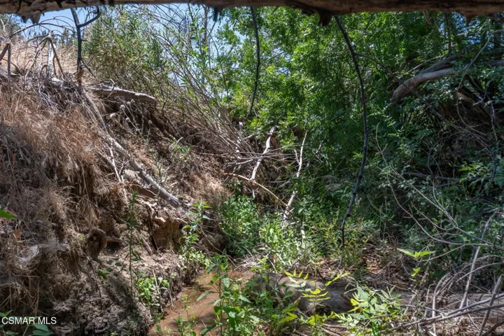 Big Springs Road, 22 Acres
