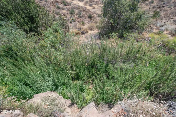 Big Springs Road, 22 Acres