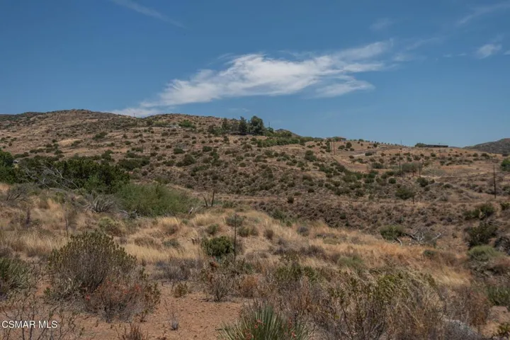 Big Springs Road, 22 Acres