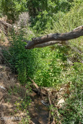 Big Springs Road, 22 Acres