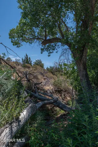 Big Springs Road, 22 Acres