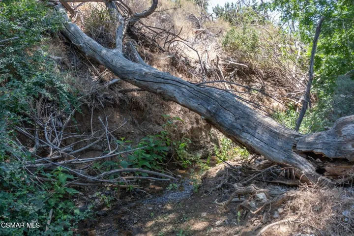 Big Springs Road, 22 Acres