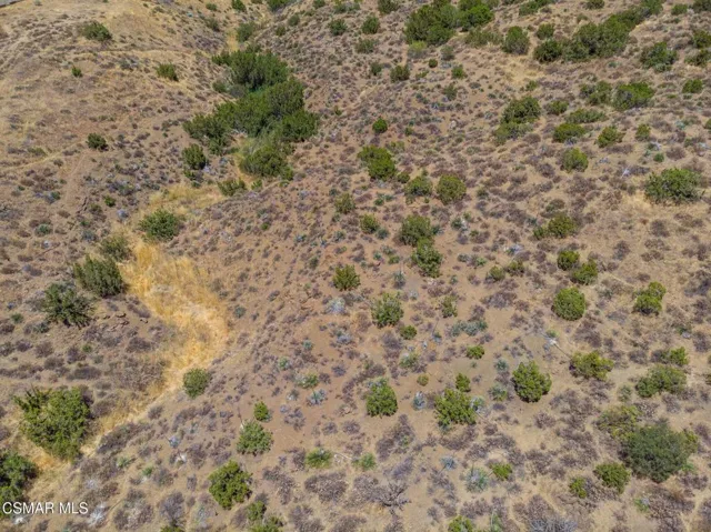 Big Springs Road, 22 Acres
