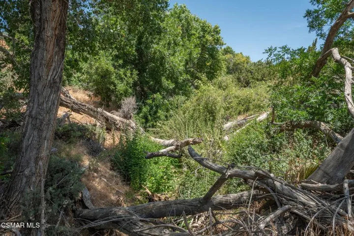Big Springs Road, 22 Acres