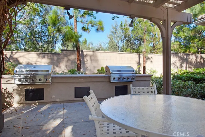 20 Leucadia, Irvine, California 92602