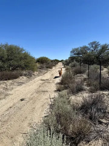 0 Mcconamara Drive, Ranchita, California 92066