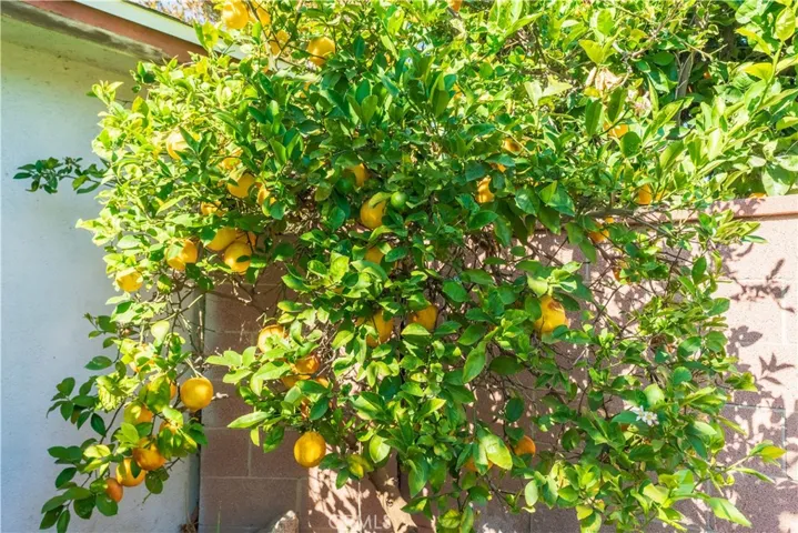 2413 W 180th Street, Torrance, California 90504