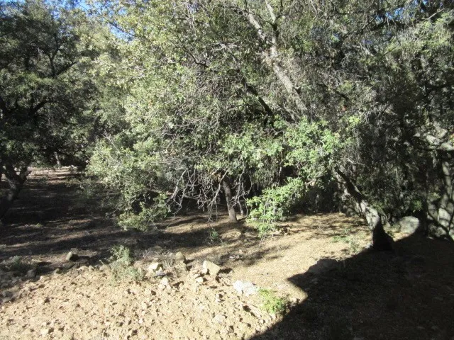 2239 Bernina, Pine Mountain Club, California 93222