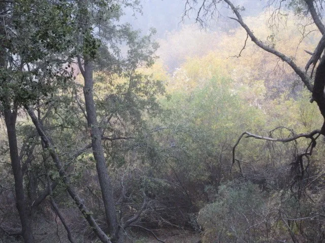 2239 Bernina, Pine Mountain Club, California 93222