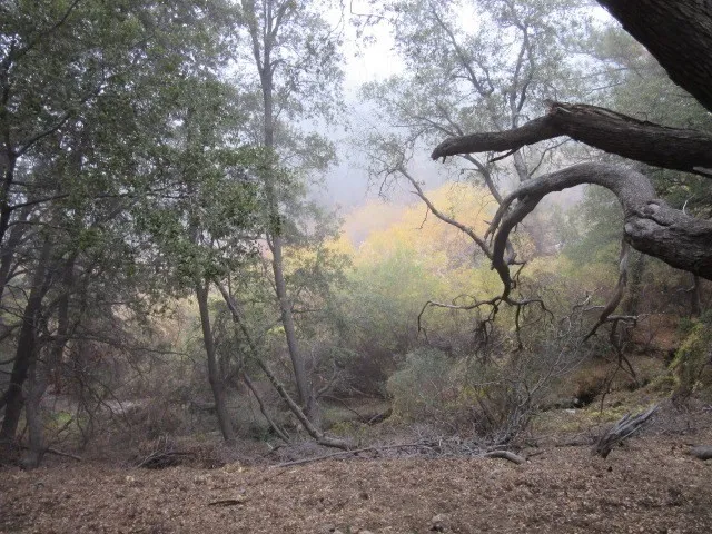 2239 Bernina, Pine Mountain Club, California 93222