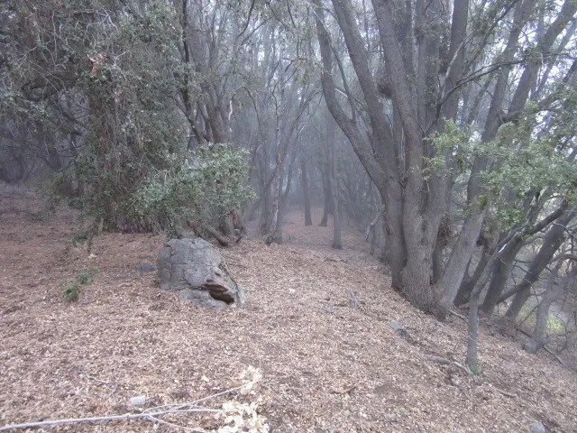 2239 Bernina, Pine Mountain Club, California 93222