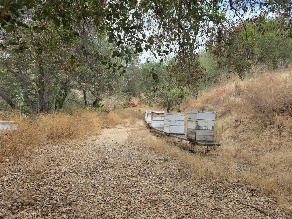 0 Live Oak Creek Circle, Fallbrook, California 32028 — photo 5
