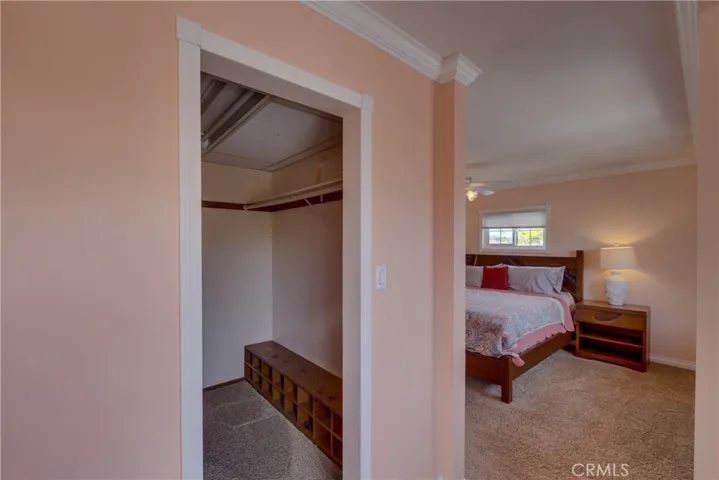 Walk in closet master bedroom