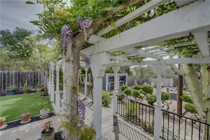 More wisteria and arbor