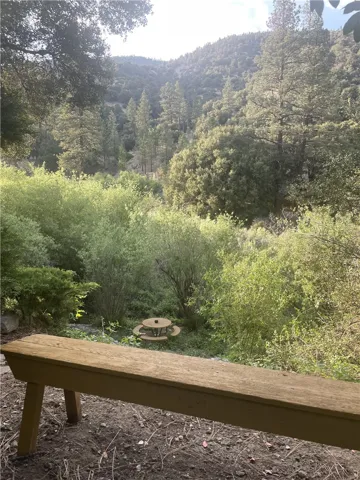 15909 Edgewood, Pine Mountain Club, California 93222