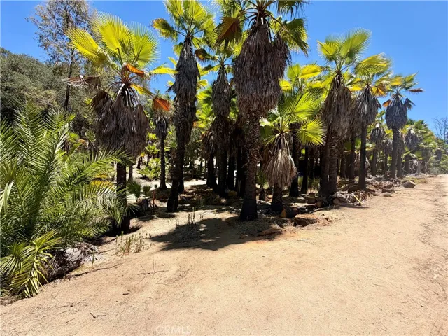 0 Ranger, Fallbrook, California 92028