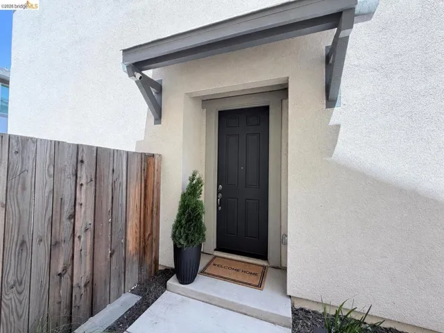Entryway featuring a dark paneled door, light stucco exterior, and a grey overhead awning