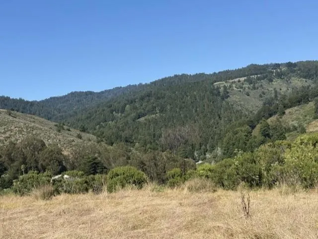 Tunitas canyon