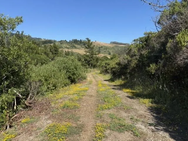 Ranch road to shack
