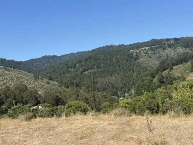Tunitas canyon