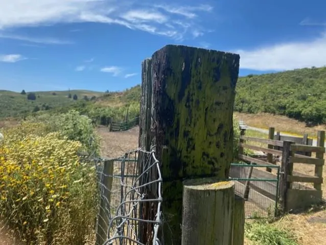 2851 Tunitas Creek Road, Half Moon Bay, California 94019