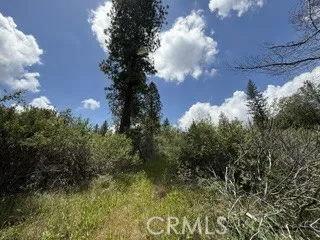 0 Feather Ridge, Berry Creek, California 95916