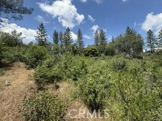 0 Feather Ridge, Berry Creek, California 95916