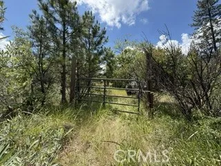 0 Feather Ridge, Berry Creek, California 95916
