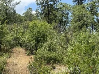 0 Feather Ridge, Berry Creek, California 95916