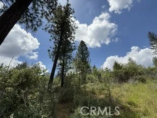 0 Feather Ridge, Berry Creek, California 95916