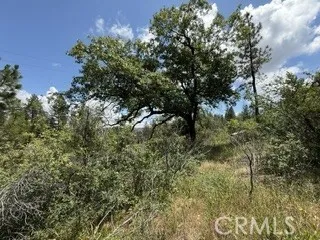 0 Feather Ridge, Berry Creek, California 95916
