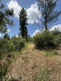 0 Feather Ridge, Berry Creek, California 95916