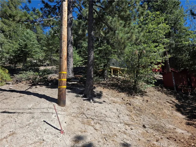 2419 Pine Drive, Running Springs, California 92382