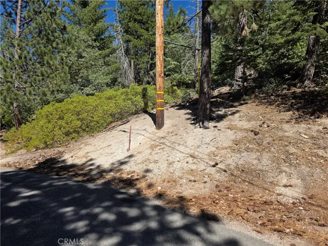 2419 Pine Drive, Running Springs, California 92382