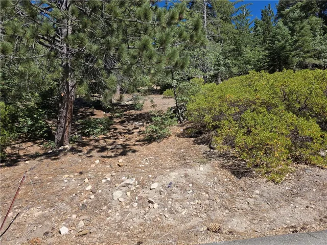 2419 Pine Drive, Running Springs, California 92382