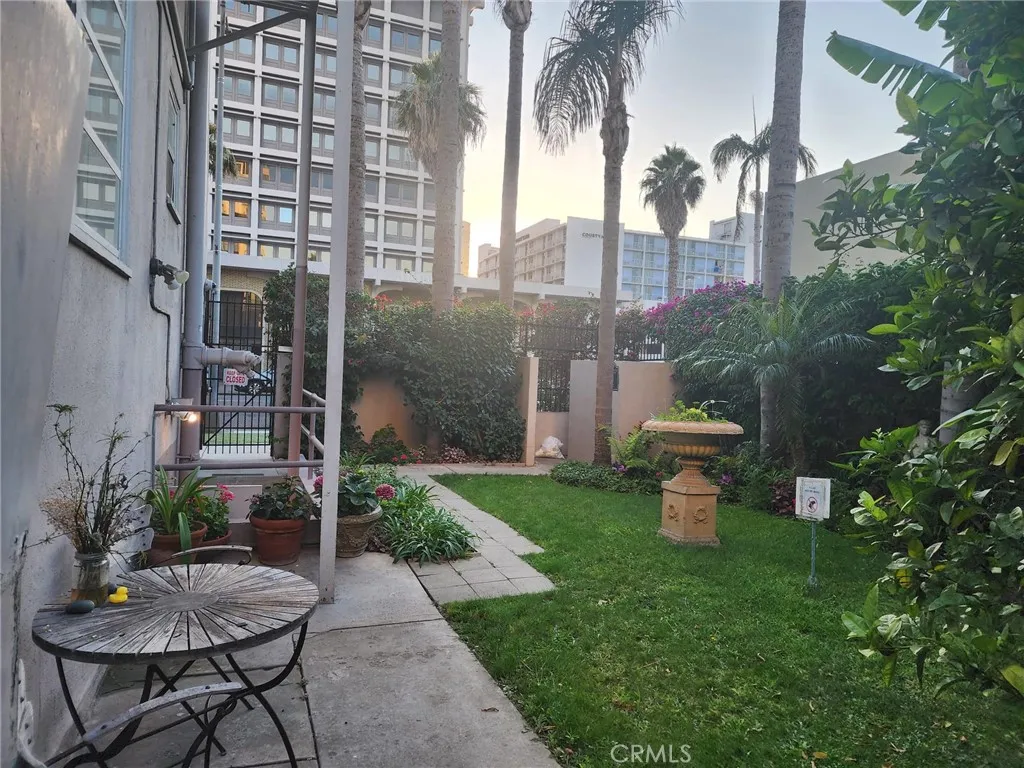 another angle of the garden.