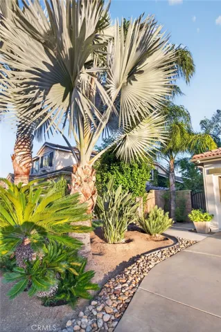 Unique Palms