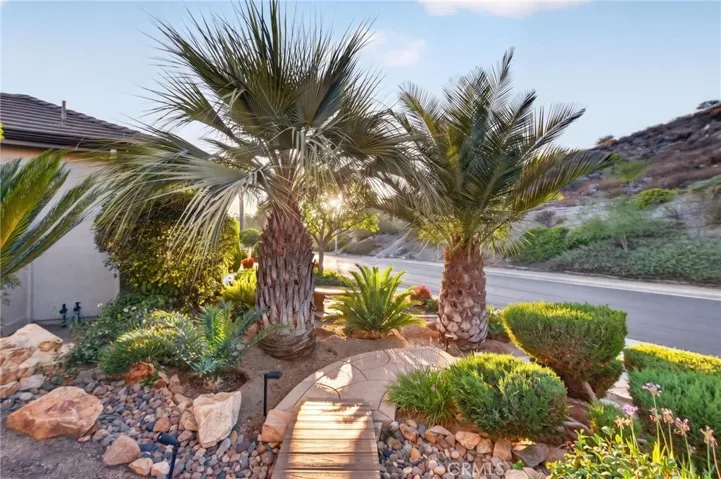 Unique Palms