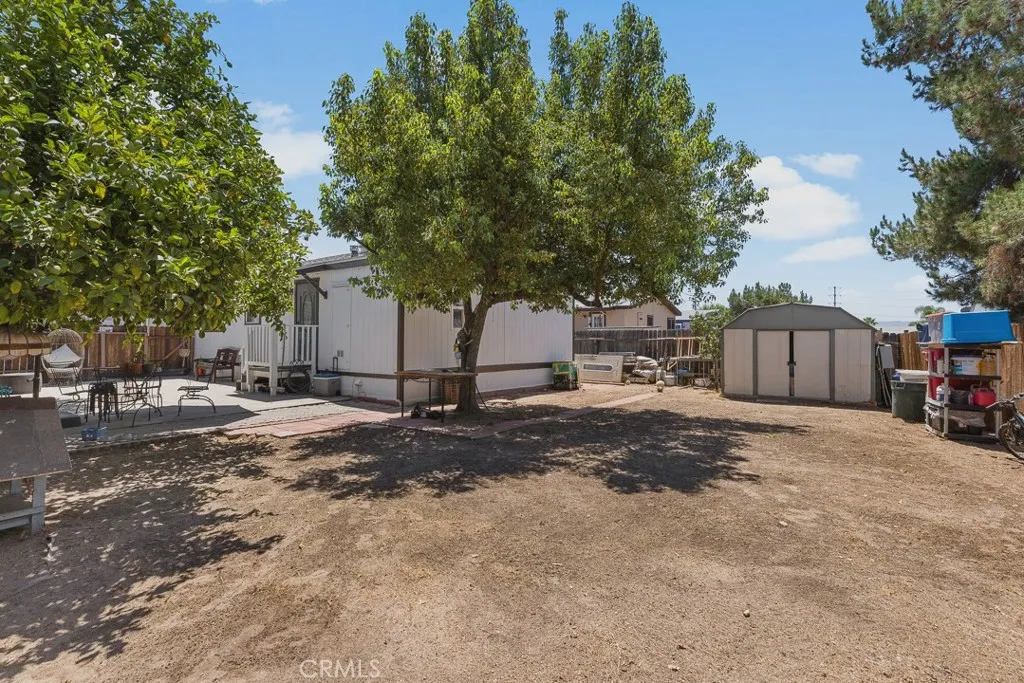 back yard