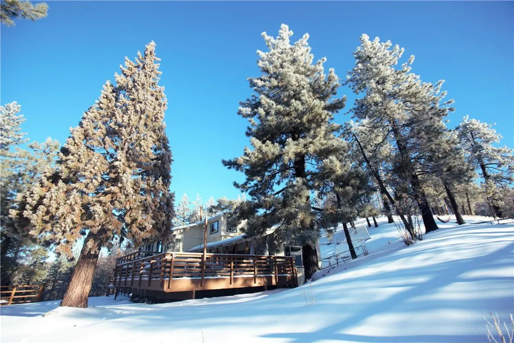 Winter Wonderland