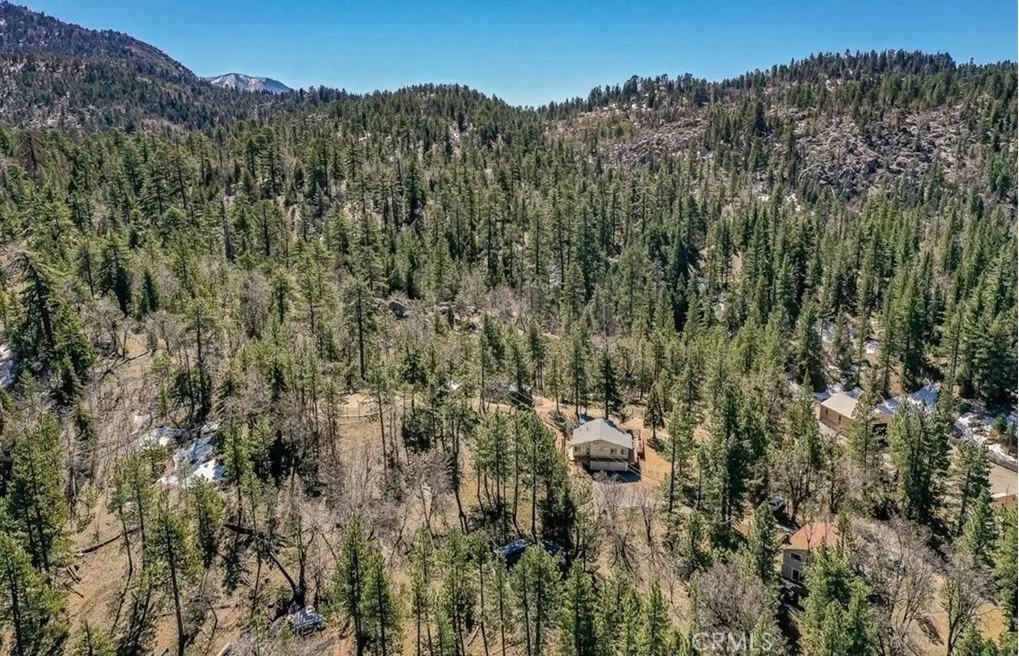 4 acres of paradise. Horse trails in your back yard.