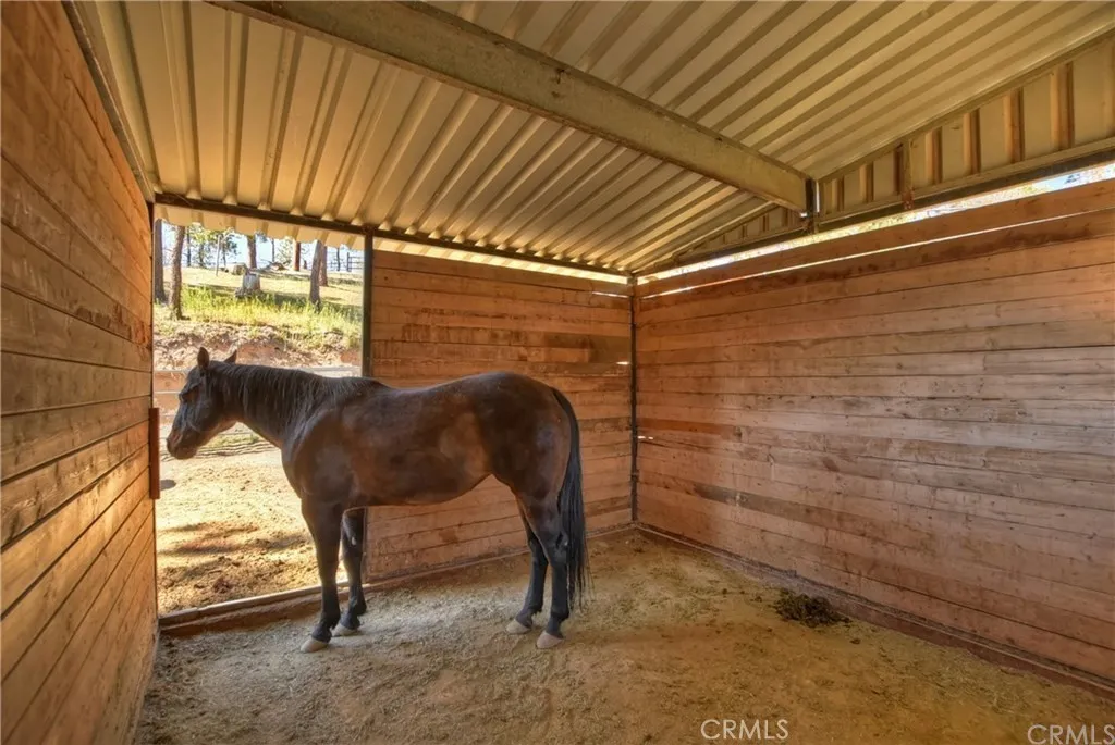 Horse stable