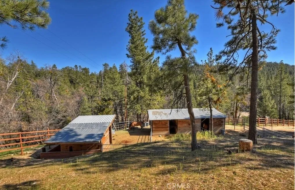 Horse stables