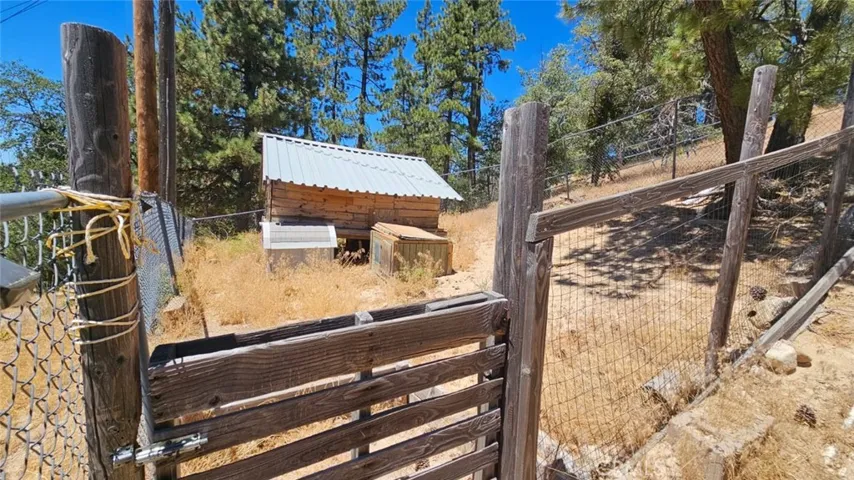 Entry to Chicken Coop