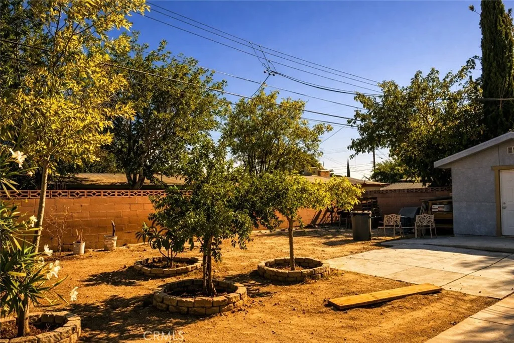 Back yard