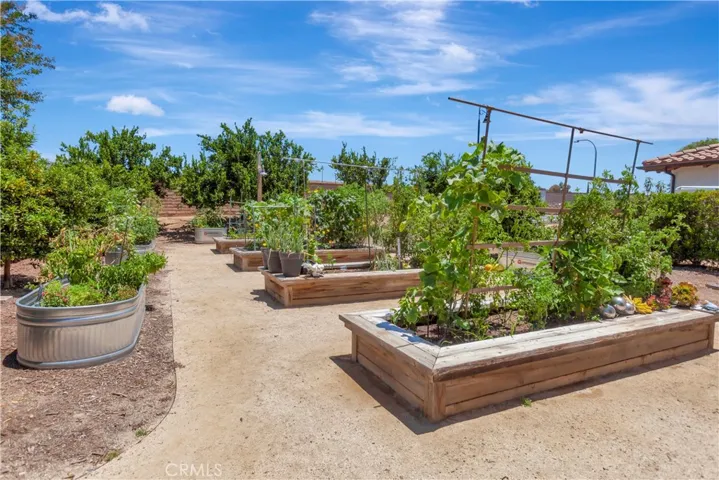Community Garden